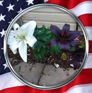 Meet your Posher, Robin